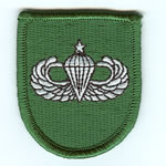 10th SF Group Beret Flash with Senior Airborne Wings - Item Number: P-10000