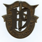 Special Forces Crest Patch with 19th Group Number (Subdued) - Item Number: P-04200S