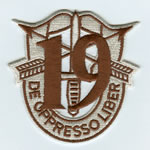 Special Forces Crest Patch with 19th Group Number (Desert) - Item Number: P-04400D