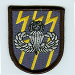 12th SF Group Beret Flash with Master Airborne Wings - Item Number: P-09900